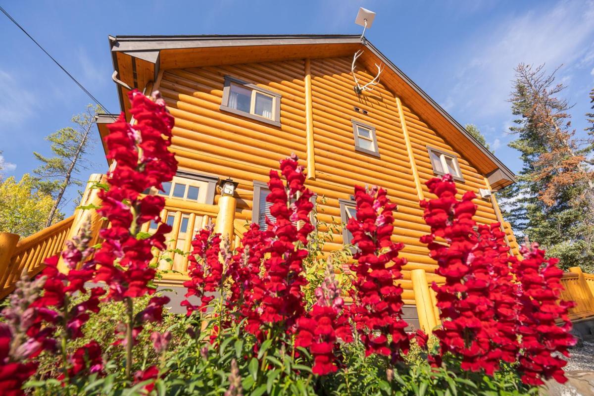 Castle Mountain Chalets エクステリア 写真