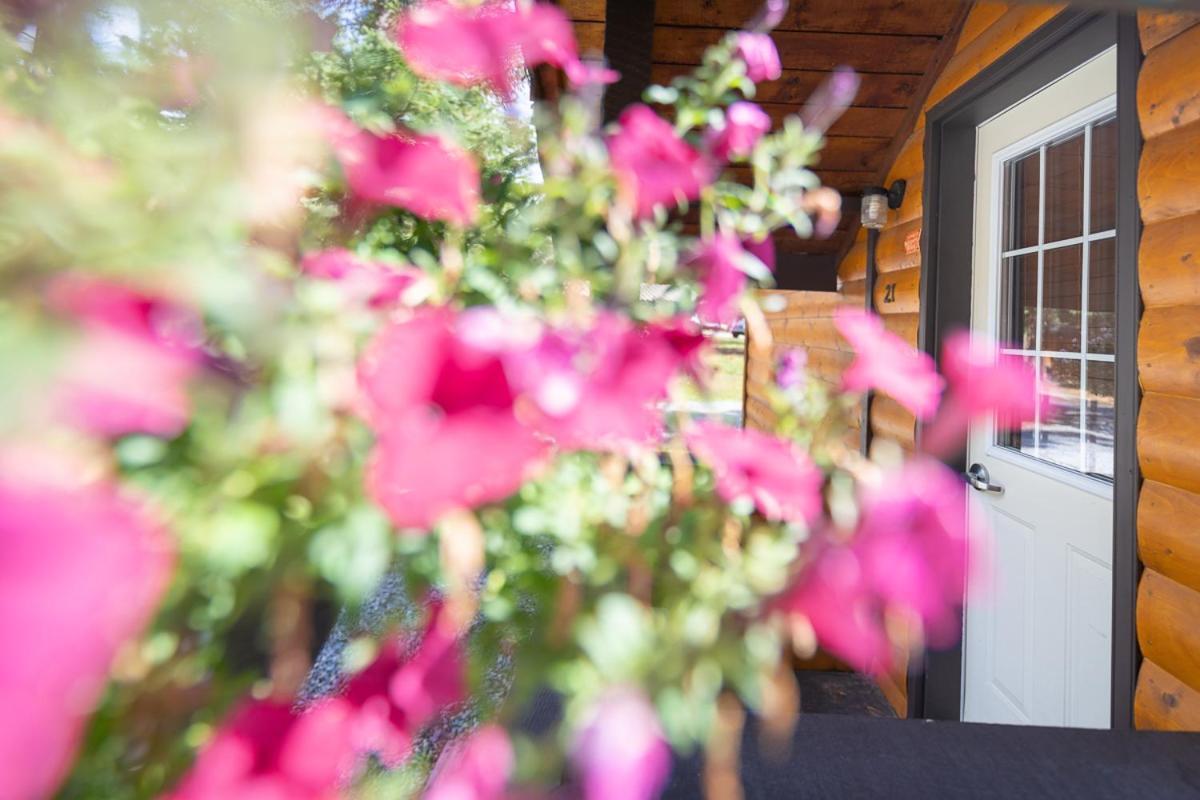 Castle Mountain Chalets エクステリア 写真