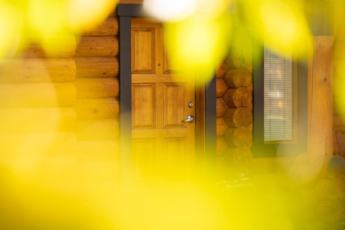 Castle Mountain Chalets エクステリア 写真